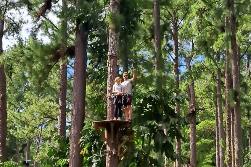 Moorea: Guided Hike Bounty 3 Pine Tree Adventure Park & Lunch 5