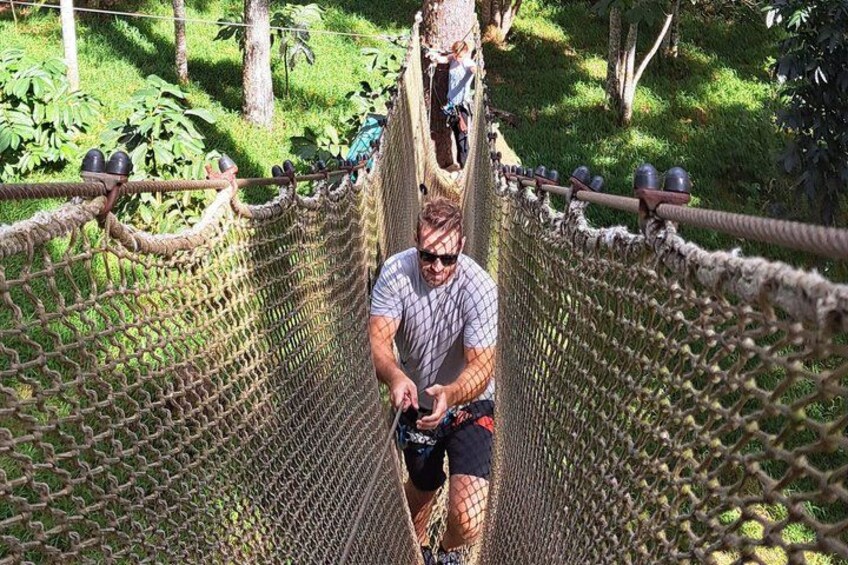 Moorea: Guided Hike Bounty 3 Pine Tree Adventure Park & Lunch 3