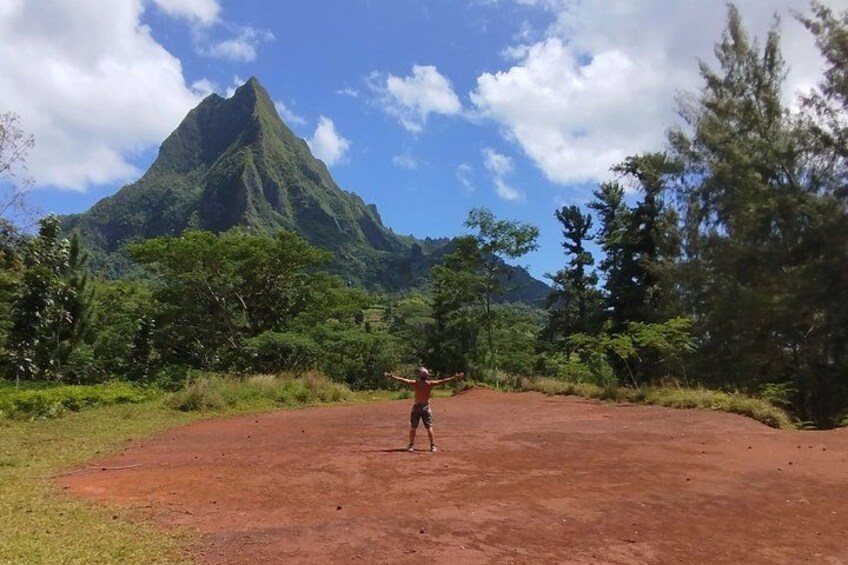 Moorea: Guided Hike Bounty 3 Pine Tree Adventure Park & Lunch 4