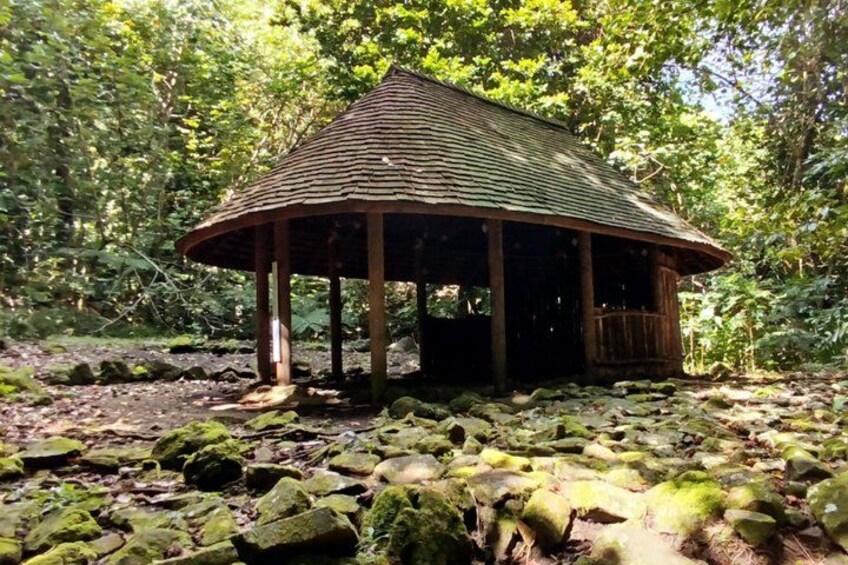 Moorea: Guided Hike Bounty 3 Pine Tree Adventure Park & Lunch 3