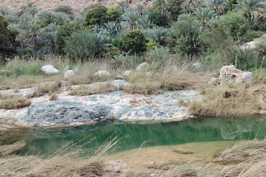 Sharing Wadi Al Shab Tour Experience 5