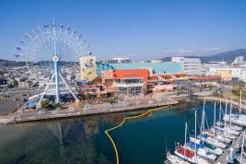 Customized Shimizu and Shizuoka Tour by Private Car and Guide 4