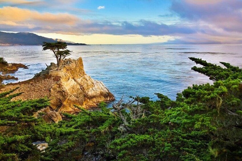 Monterey CA 17 Mile Self Guided GPS App Driving Tour 1