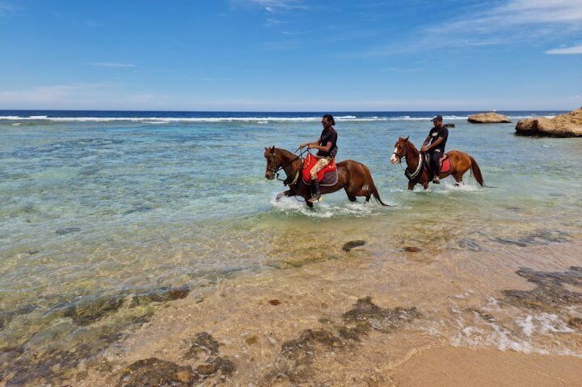 Deux personnes à cheval, traversant des eaux côtières peu profondes. 1