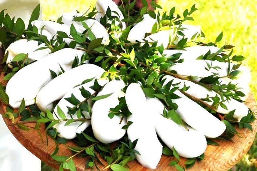 Mozzarella in Mortella Taste the tradition of Cilento 2