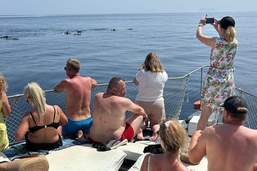 Estepona Boat Cruise: Dolphin Search, Swim, Drinks & Snacks 1