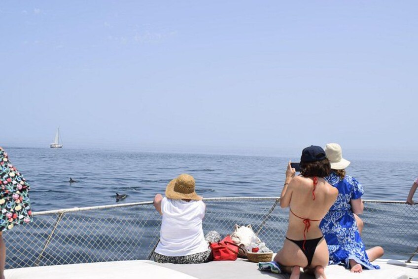 Estepona Boat Cruise: Dolphin Search, Swim, Drinks & Snacks 4