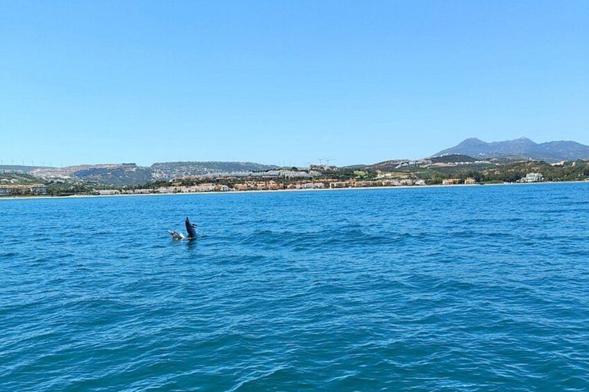 Eine Person schwimmt in einem großen Gewässer, im Hintergrund Uferlinie und Berge. 4