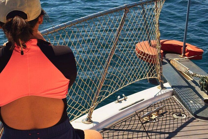 Estepona Boat Cruise: Dolphin Search, Swim, Drinks & Snacks 2
