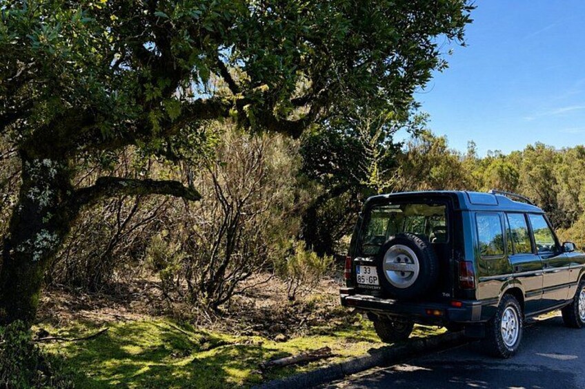 Madeira Private 4x4 Adventure: Fanal, Porto Moniz & Off-Road 4
