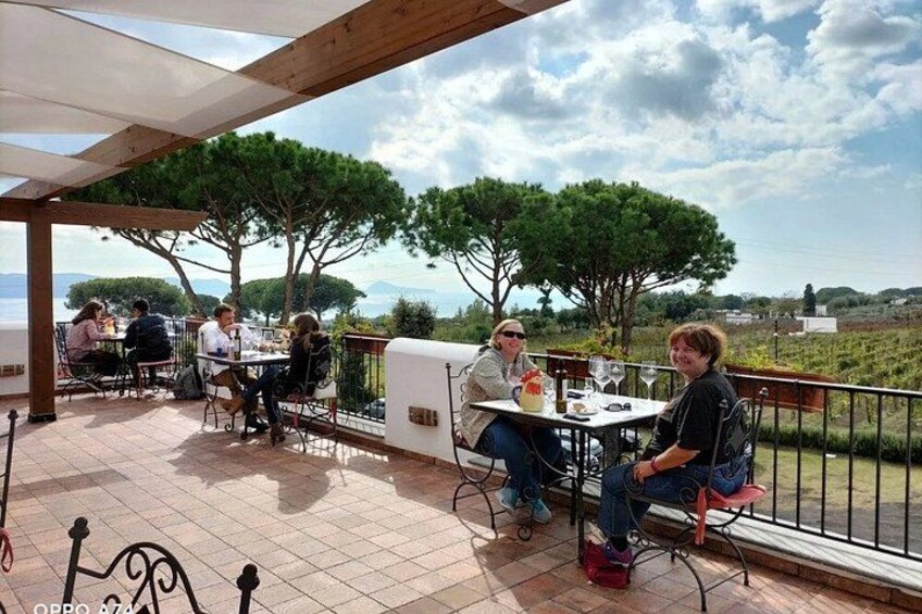 Vesuvius National P Tour and Wine Tasting 4