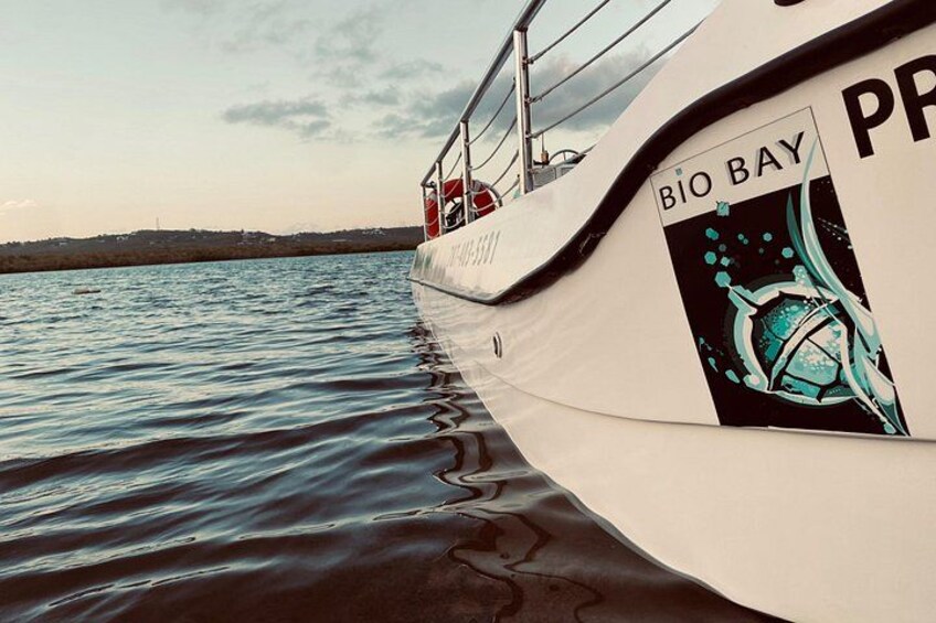 Un bote con la inscripción 'BIO BAY' y un diseño marino en su lateral. 3
