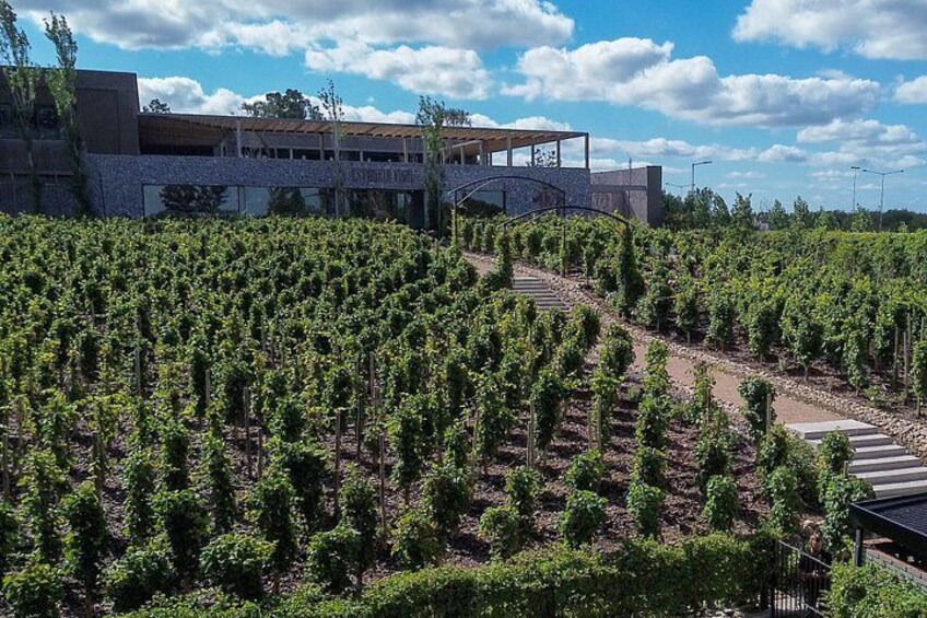 Buenos Aires wine experience by Catena Zapata in Estancia Vigil 5