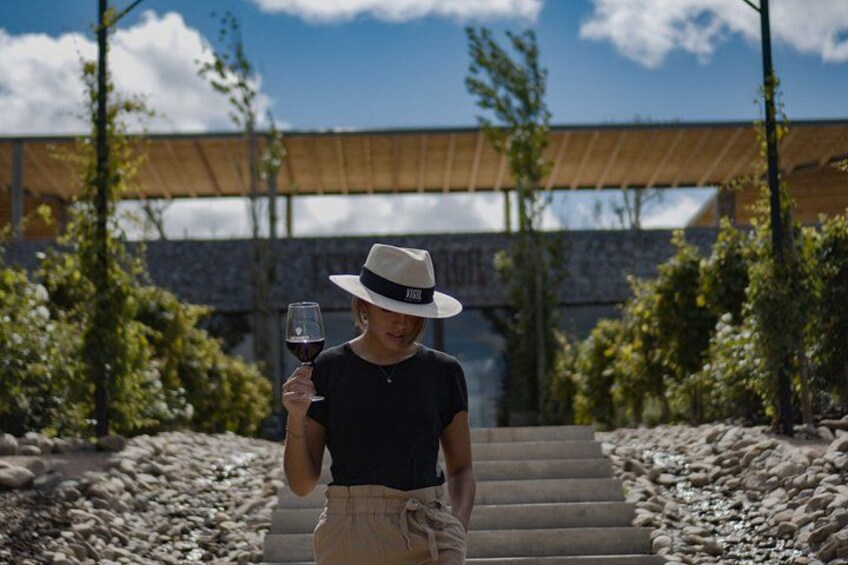 Buenos Aires wine experience by Catena Zapata in Estancia Vigil 1
