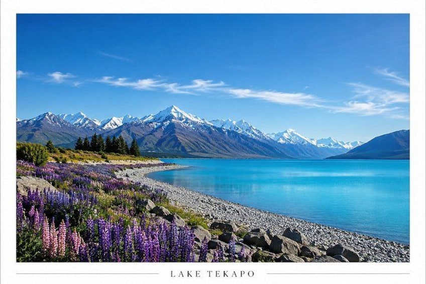 Christchurch to Queenstown Scenic One Way Tour via Lake Tekapo 3