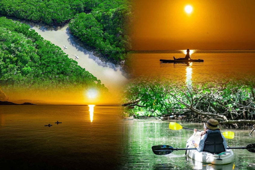 A kayaker on a calm river, surrounded by lush greenery and a sunset. 1