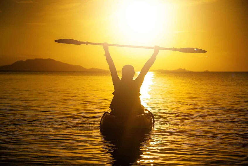 Picture 8 for Activity Ishigaki: Mangrove&Sunset Kayak/SUP with Drone & SLR footage 3