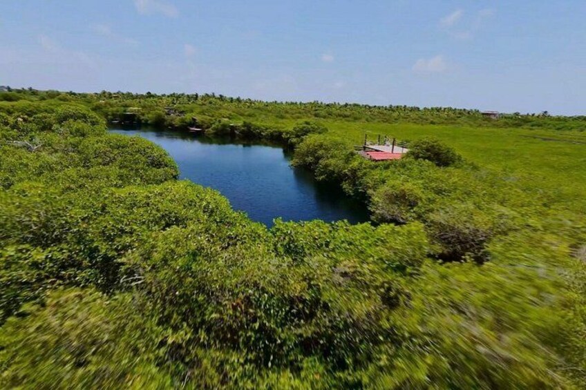 A river meandering through a lush green landscape with dense vegetation and a small structure near the water's edge. 2