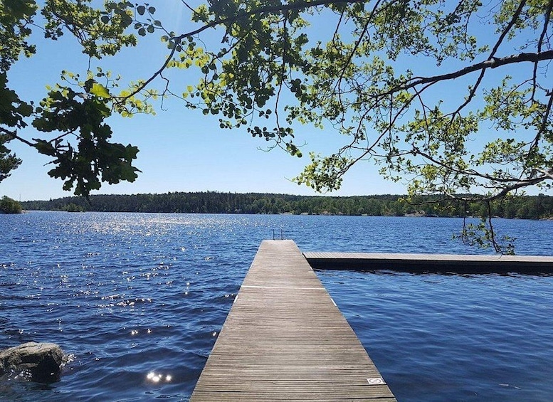 A wooden dock extending into a calm lake with clear blue water, surrounded by trees and a forested shoreline. 2
