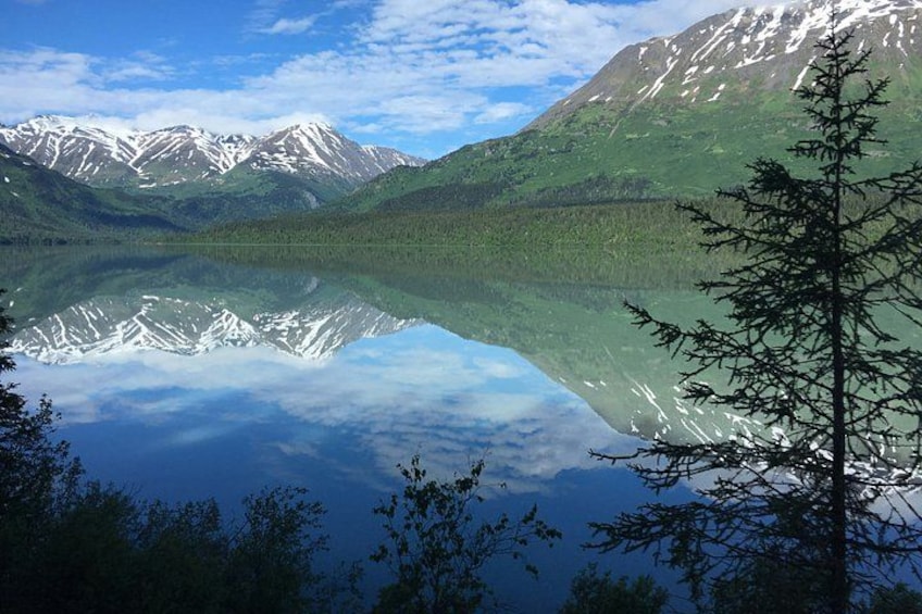 Ein Bergsee mit Spiegelungen, einem klaren Himmel und einem Baum im Vordergrund. 3