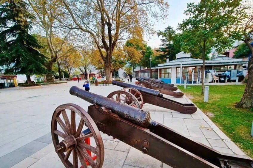 A row of old cannons in a park with trees and a building in the background. 5