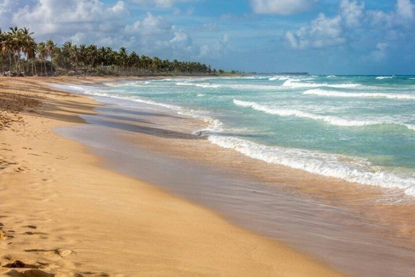 A sandy beach with waves, palm trees, and a clear sky. 2