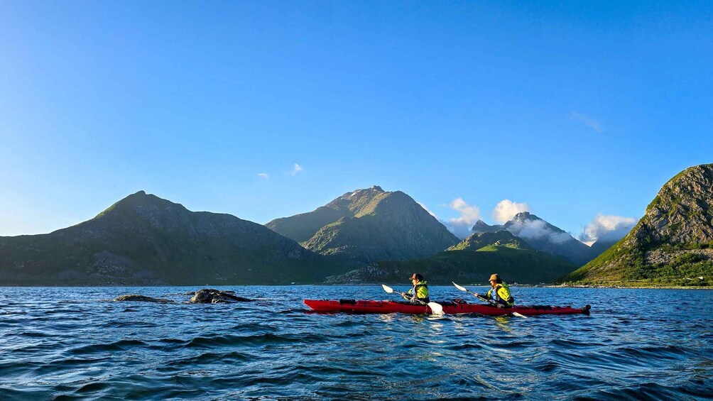 Picture 14 for Activity Lofoten: Kayak to Haukland & Hike Mannen with Local Guide 4