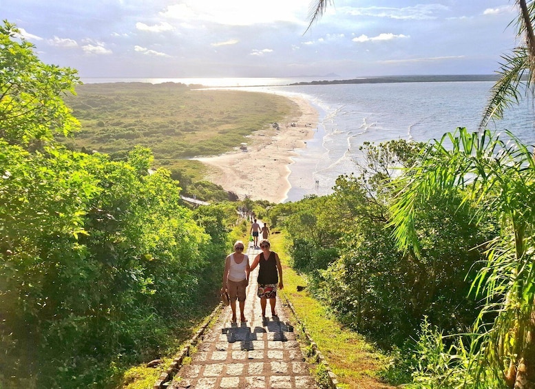 A pathway leading to a beach with lush greenery and a view of the ocean. 2