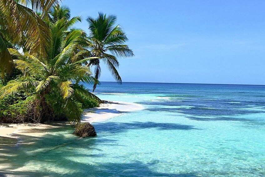 Punta Cana Shopping Tour Local Crafts Souvenirs Transportation 4