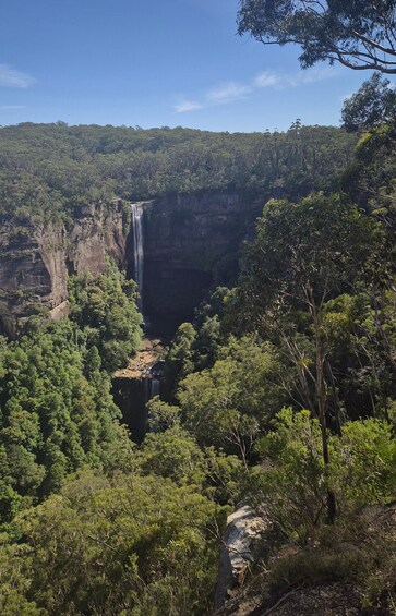 A waterfall cascading down a cliff surrounded by dense forest. 5