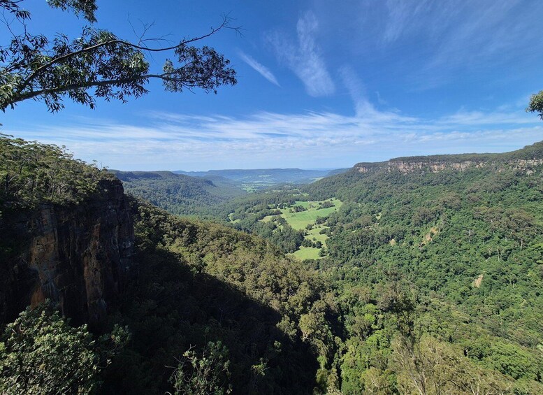 A valley with dense forest, a cliff, and distant hills under a clear sky. 1