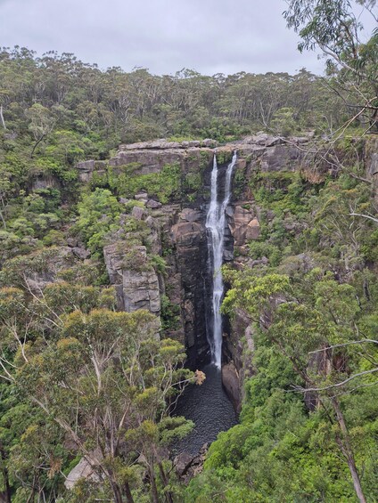 A waterfall cascading down a rocky cliff surrounded by dense greenery. 3