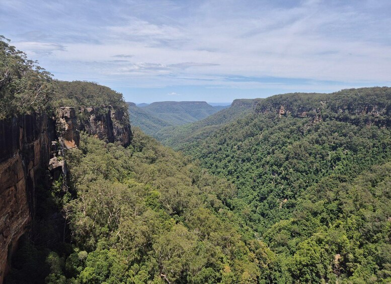 A canyon with steep cliffs and dense forest. 2