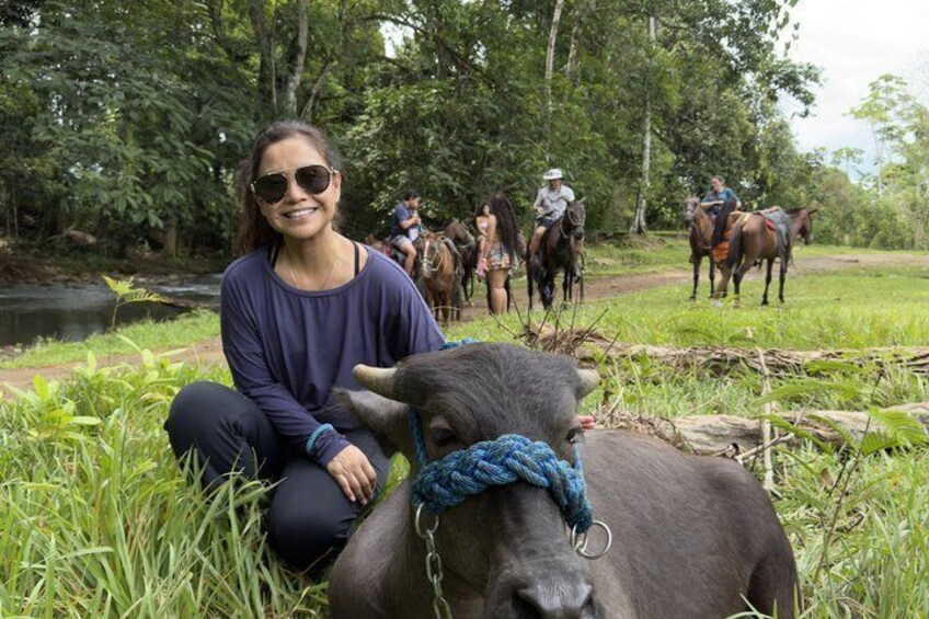 Horseback Riding Adventure in La Fortuna with River Crossings 5