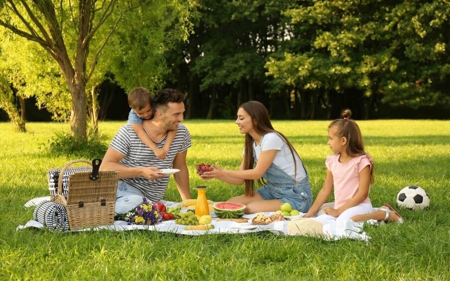 A picnic with food and drinks on a blanket in a grassy park. 1