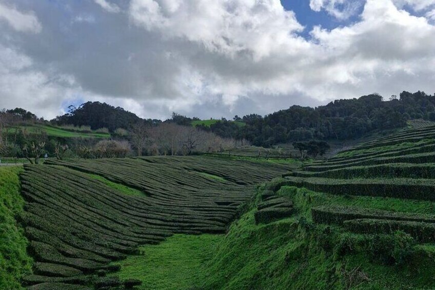 Terraced fields on a hillside under a cloudy sky. 1