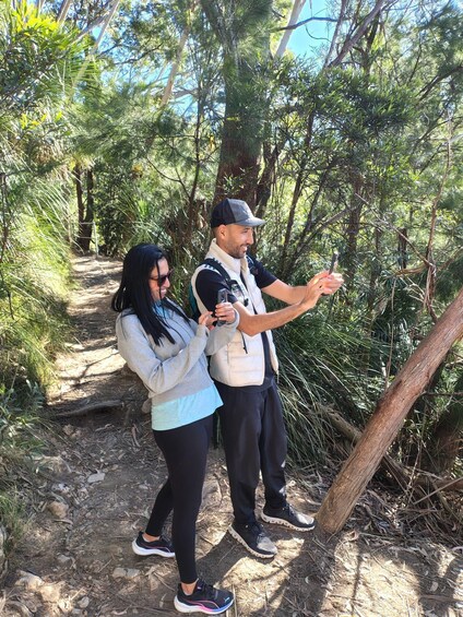 Picture 2 for Activity Gold Coast: Springbrook Waterfalls & Rainforest Private Tour 5