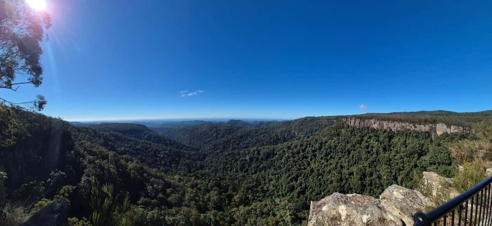 Picture 4 for Activity Gold Coast: Springbrook Waterfalls & Rainforest Private Tour 4
