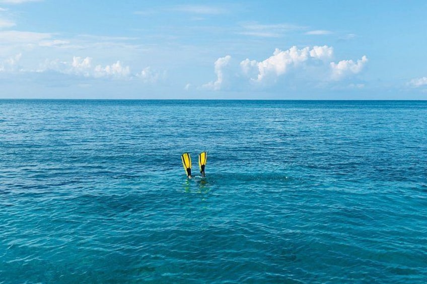 A calm sea with two snorkel fins floating on the surface. 3