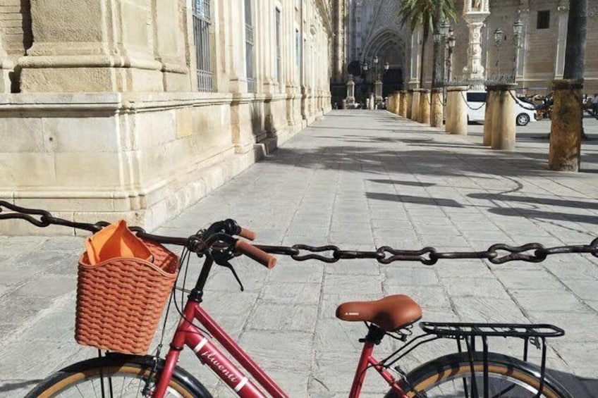 Seville: Guided small group bike and e-bike tour 3