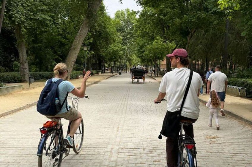 Een fietser, een scooterrijder en een huifkar rijden over een straat met bomen. 4