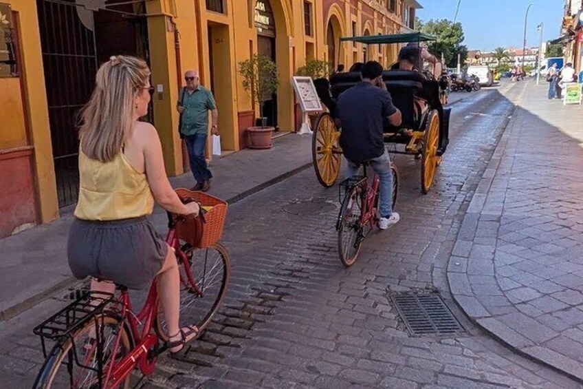 Seville: Guided small group bike and e-bike tour 2