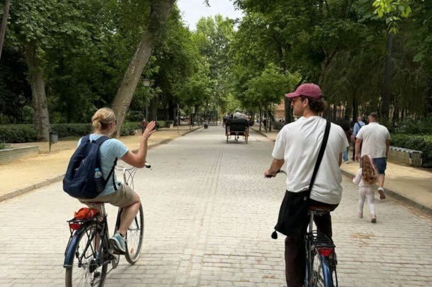 Seville: Guided small group bike and e-bike tour 2