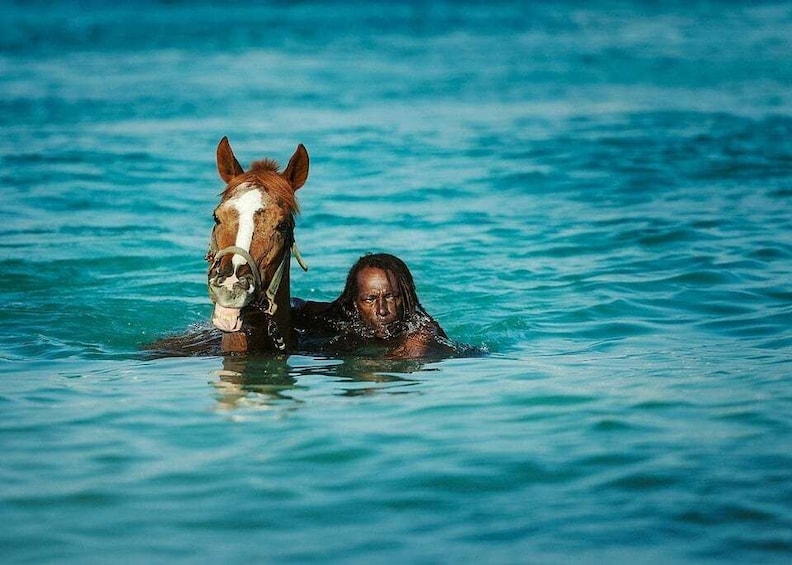 A person swimming with a horse in clear blue water. 1