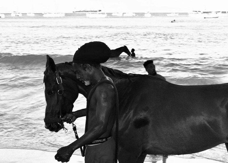 A person leading a horse by a leash on a beach with the ocean in the background. 2