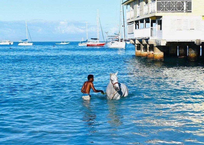 A person leading a horse through a body of water with boats and a building in the background. 4