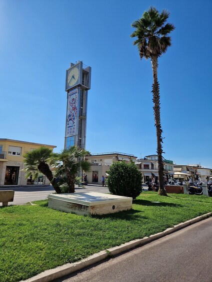 A clock tower, palm trees, and a shopping area. 5