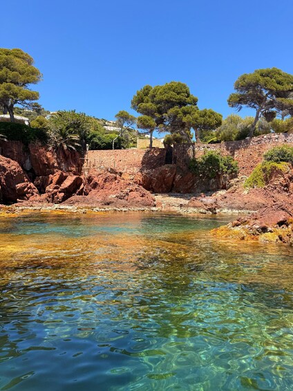 Picture 13 for Activity Saint-Raphaël: Kayak & Paddleboard Rental in the Esterel Calanques 2