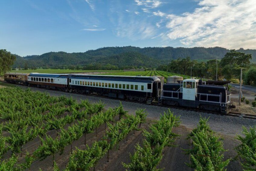 A train moving through a vineyard with hills in the background. 1