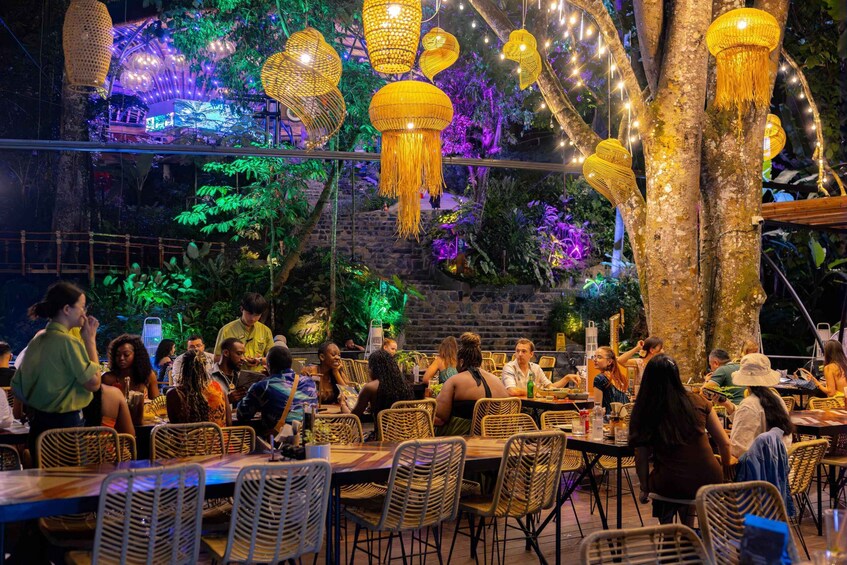 An outdoor dining area with wicker chairs and tables, surrounded by trees and decorative hanging lights. 1